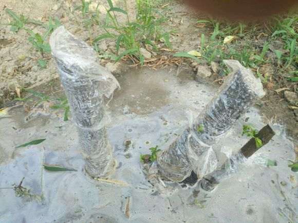 石榴下山桩是不是只有秋天才可以换土