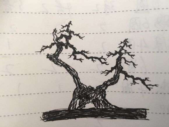 为什么枸杞下山桩很好发芽 图片