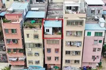 警用无人机航拍的被盗盆景藏匿位置