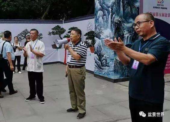 第五届岳阳盆景展在金鹗公园成功举行