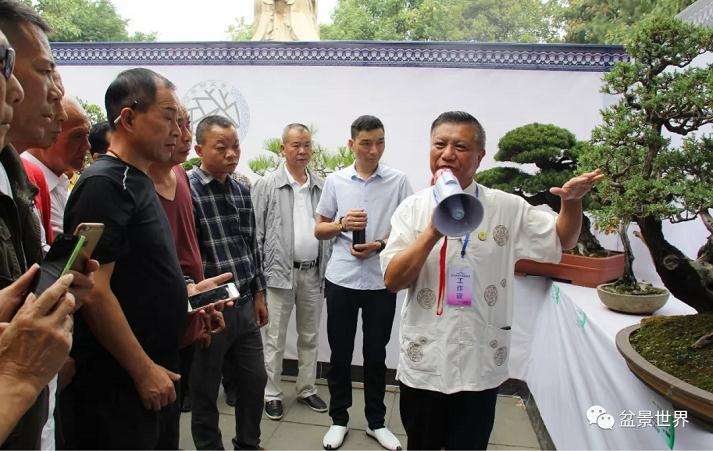 第五届岳阳盆景展在金鹗公园成功举行