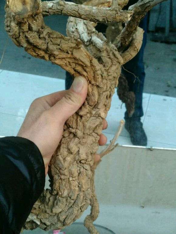 卖枸杞下山桩的 到底是怎么骗人的 图片