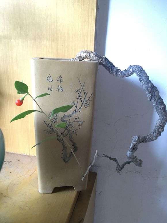 一棵枸杞下山桩老桩 大家看看怎么样 图片