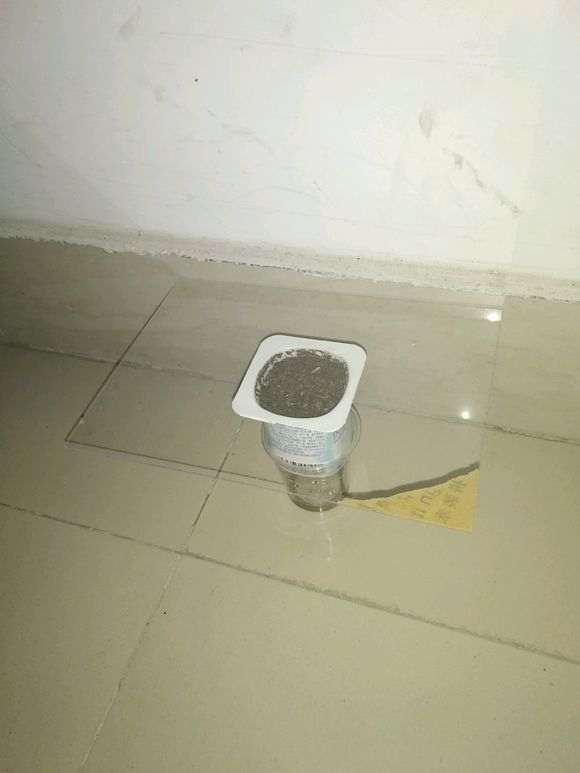 枸杞下山桩第二天 未出芽 图片