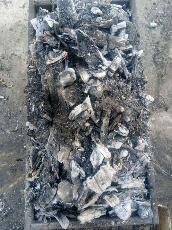 木炭灰可以当枸杞下山桩的肥料吗 图片