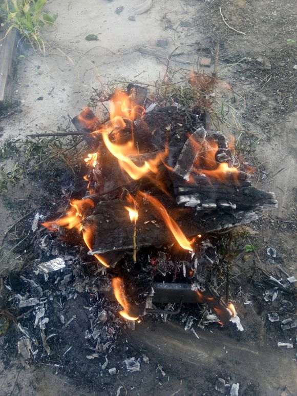 木炭灰可以当枸杞下山桩的肥料吗 图片