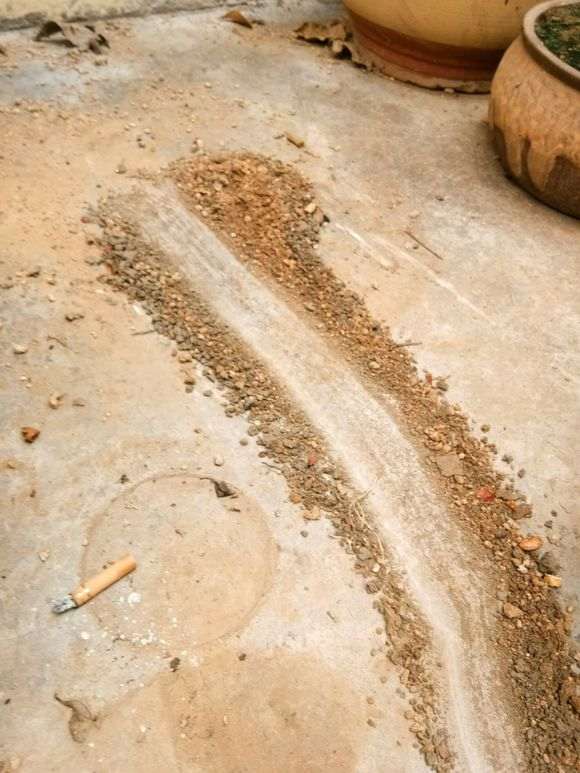 为什么你的枸杞下山桩不用铁丝网盖底