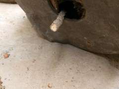 为什么你的枸杞下山桩不用铁丝网盖底