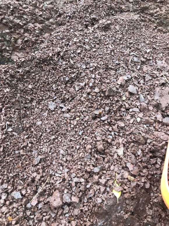 为什么风化土是盆景种植的好材料 图片