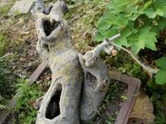 为什么榔榆下山桩有型的太少了 图片