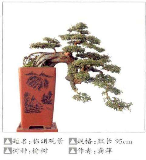 房县花木盆景协会第六届理事会