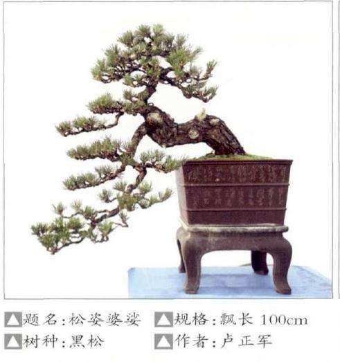 房县花木盆景协会第六届理事会