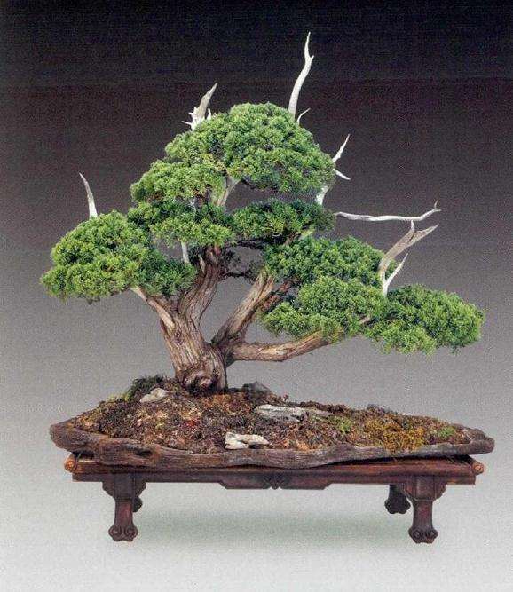 浅谈中国画的留白与盆景创怎么作