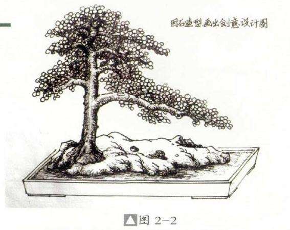 怎么制作成石上迎客松式盆景