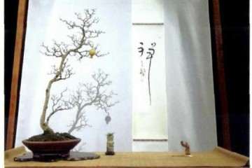 李飘先生谈盆景《些园只影》的制作