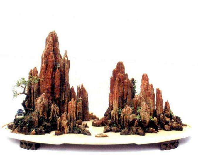 2019 岳阳市举办第五届盆景展 图片