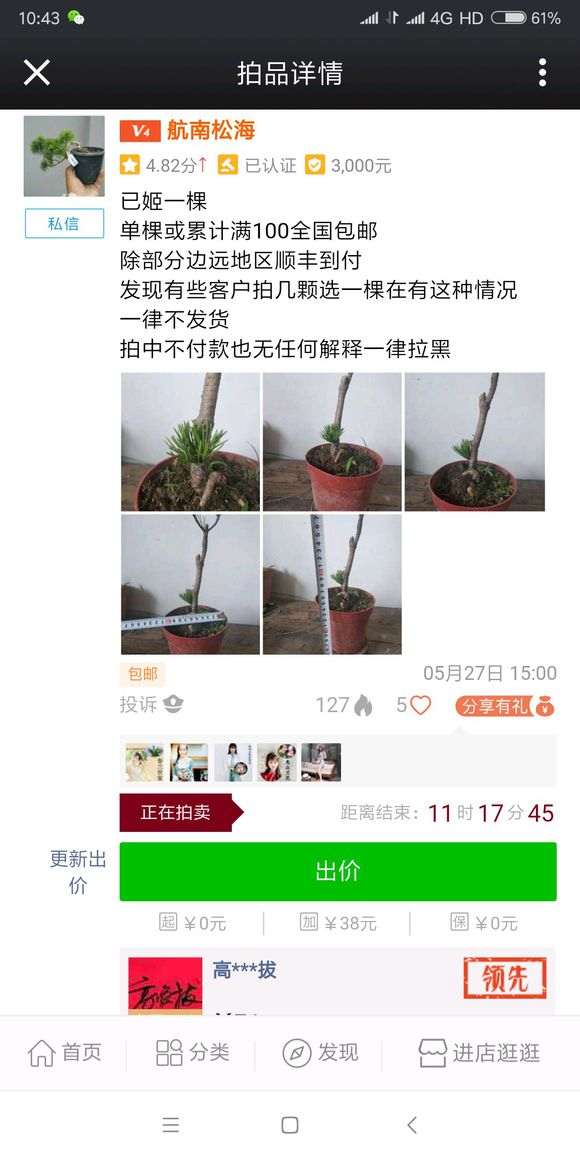 发布一个卖五针松下山桩的骗子 图片