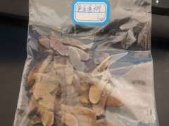 五针松下山桩种子如何种植的方法 图片