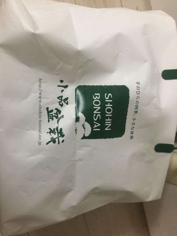 从日本买的五针松下山桩 300元 贵吗 图片