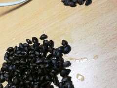 赤玉土怎么种五针松下山桩 求指点 图片