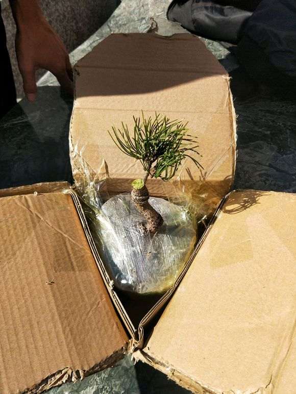 为什么下山桩宿迁货 都是骗子 图片