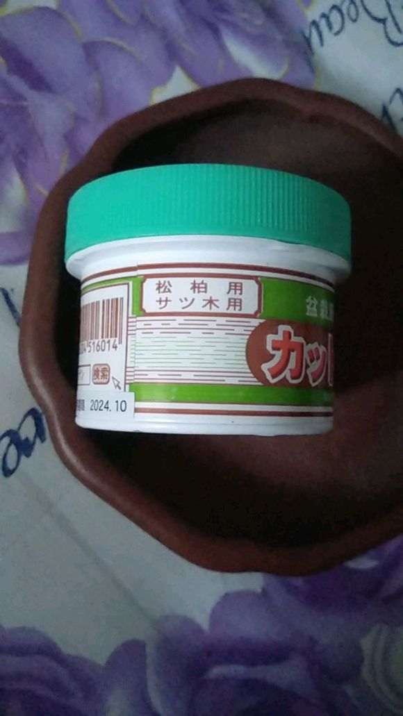 请问五针松下山桩流松油 怎么办 图片