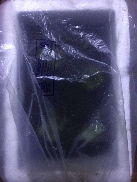 哪些品种的五针松下山桩扦插活概率大