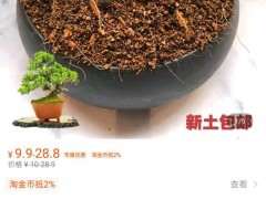 下山桩可以用赤玉土和桐生砂的土吗 图片