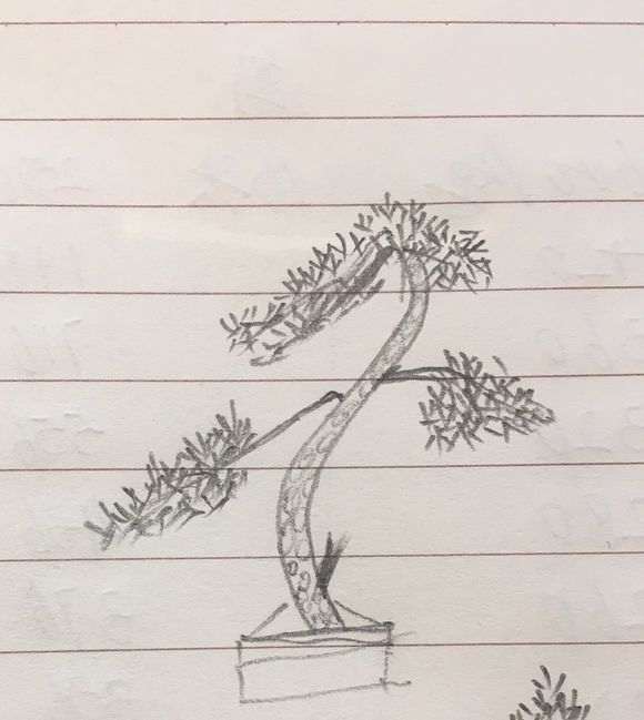 小柏树下山桩 一直不知道怎么弄 图片