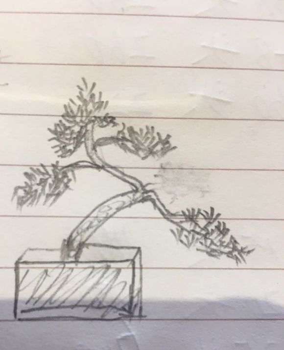 小柏树下山桩 一直不知道怎么弄 图片