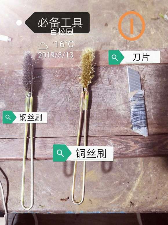 图解 柏树盆景的表皮怎么处理的方法