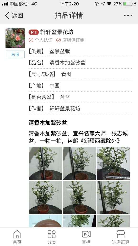 这到底是清香木下山桩 还是胡椒木 图片