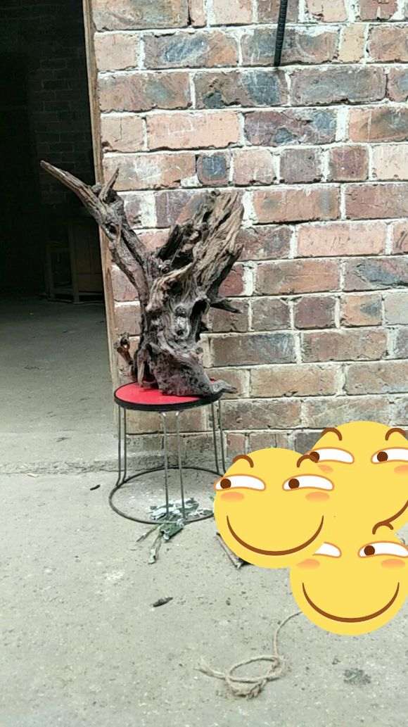 清香木下山桩枯桩 20多斤 怎么样 图片