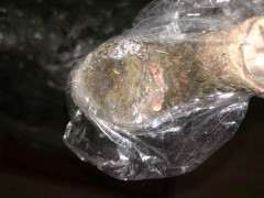 清香木下山桩种了半个月 流出红色的液体