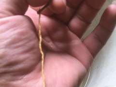 金豆下山桩怎么叶插繁殖的方法 图片