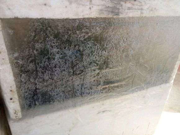 金豆下山桩怎么用颗粒沙栽培的方法 图片