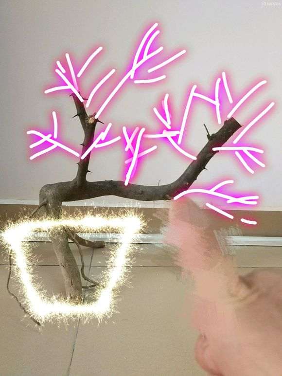 金豆下山桩怎么倒桩栽培的技术 图片