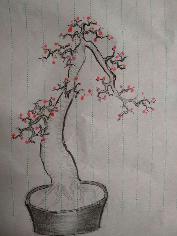 金豆下山桩没小根怎么成活的方法 图片