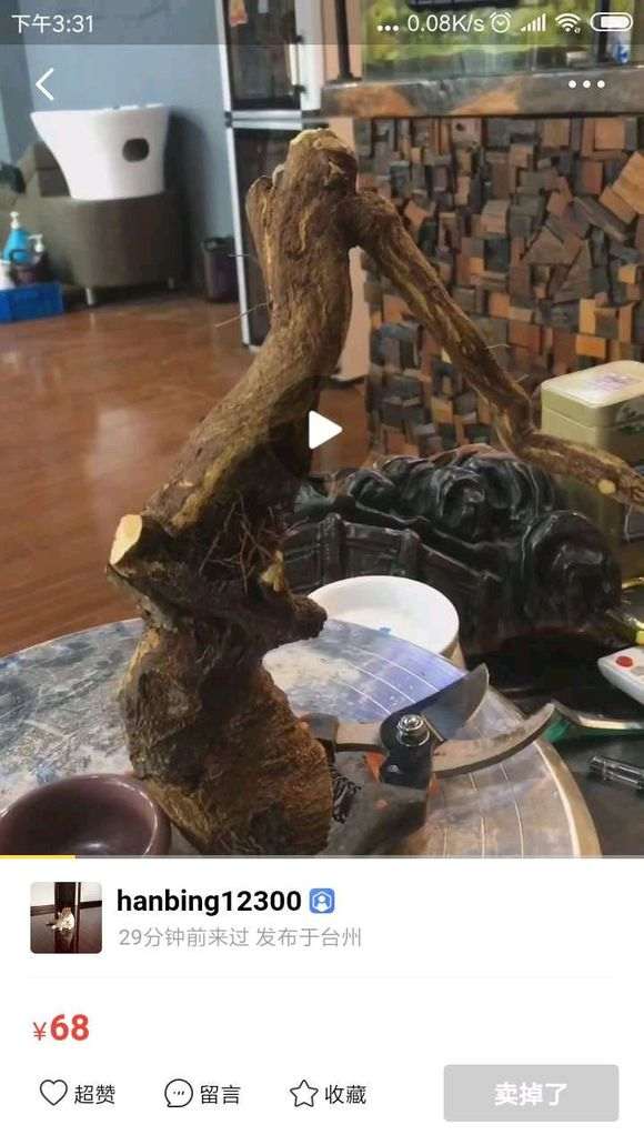 金豆下山桩没小根怎么成活的方法 图片