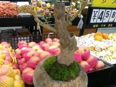 对节白蜡下山桩 这个能放室内吗 图片