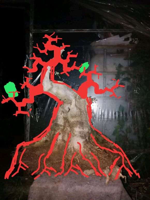 对节白蜡下山桩矮霸怎么设计 图片