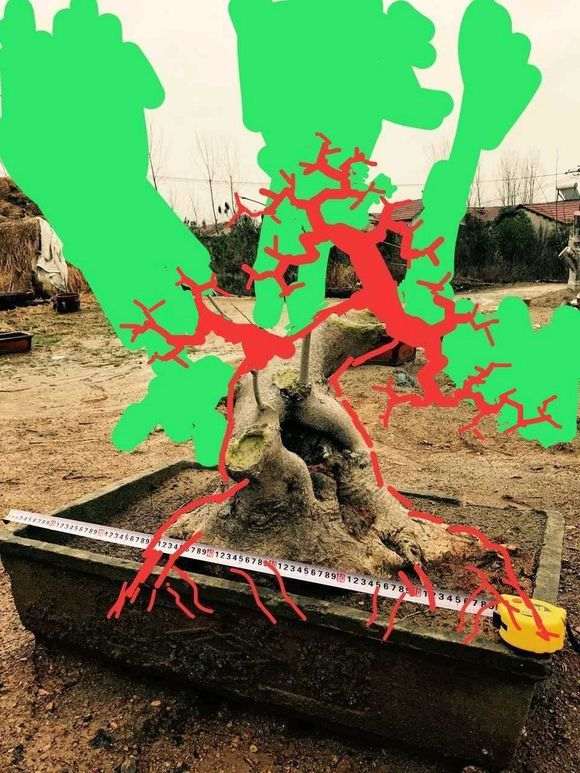 对节白蜡下山桩矮霸怎么设计 图片