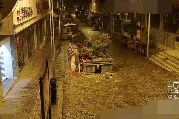 海县公安局成功抓获一名盗窃盆景的男子