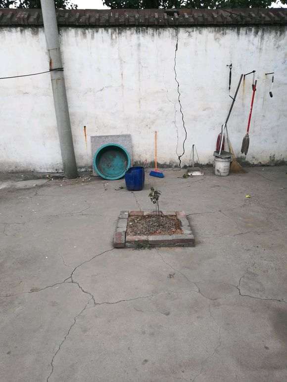 天气40 红枫下山桩快完蛋了怎么办 图片