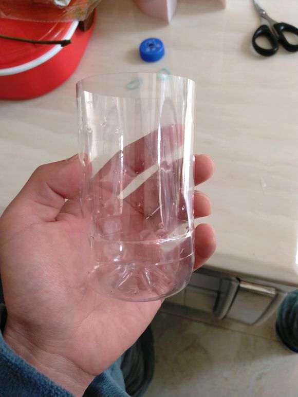 图解 为什么红枫下山桩也比较容易生根
