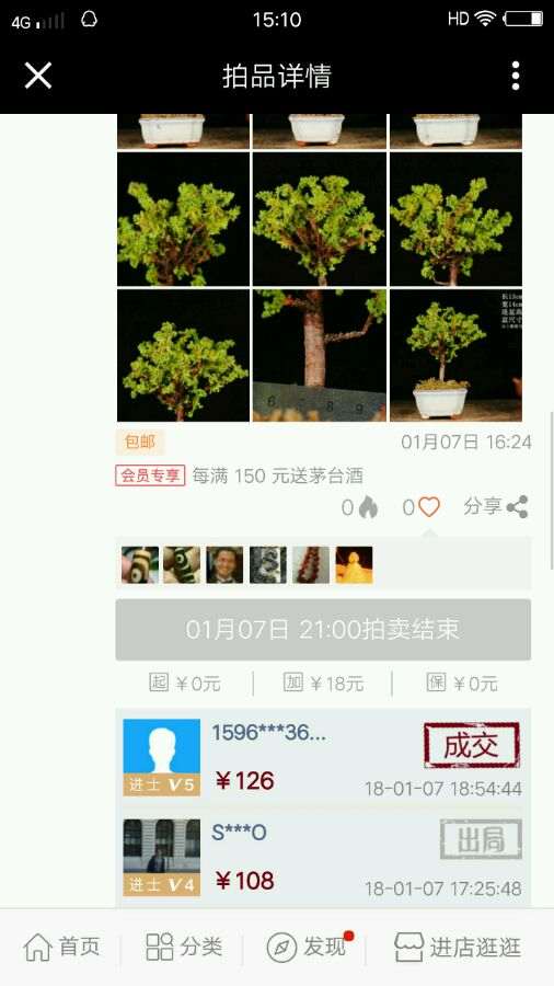 这棵红枫下山桩800贵了 大家看看 图片