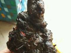 火棘下山桩的坨坨可以吗 图片