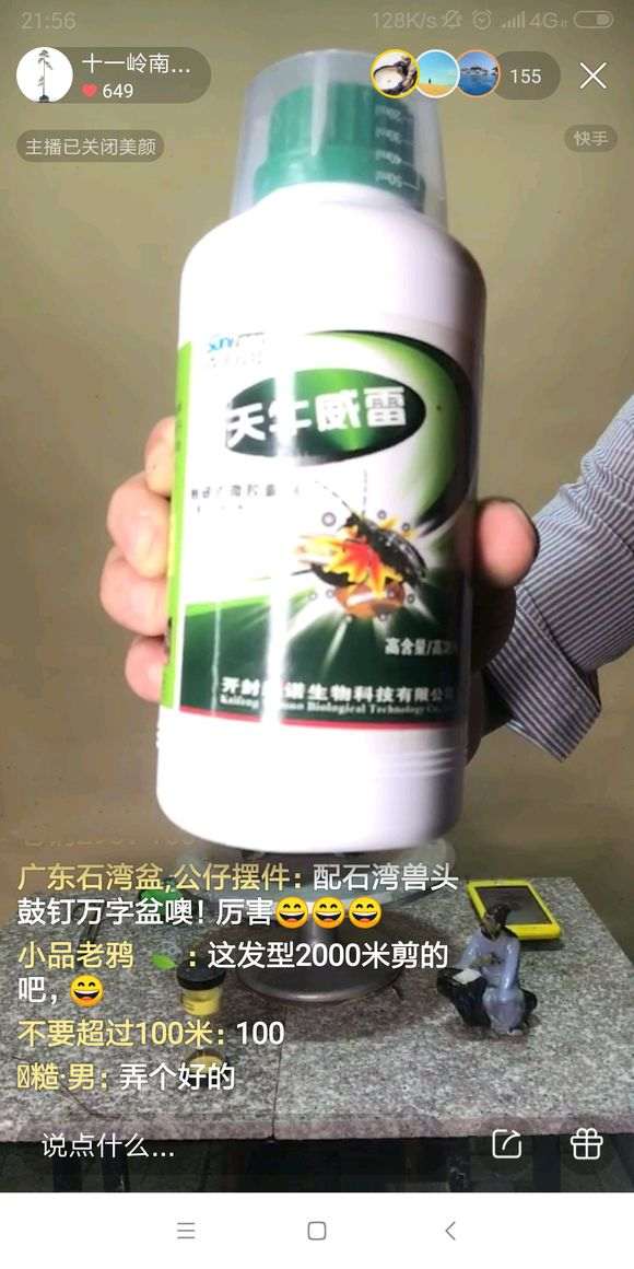 火棘下山桩叶子有虫眼 怎么办 图片