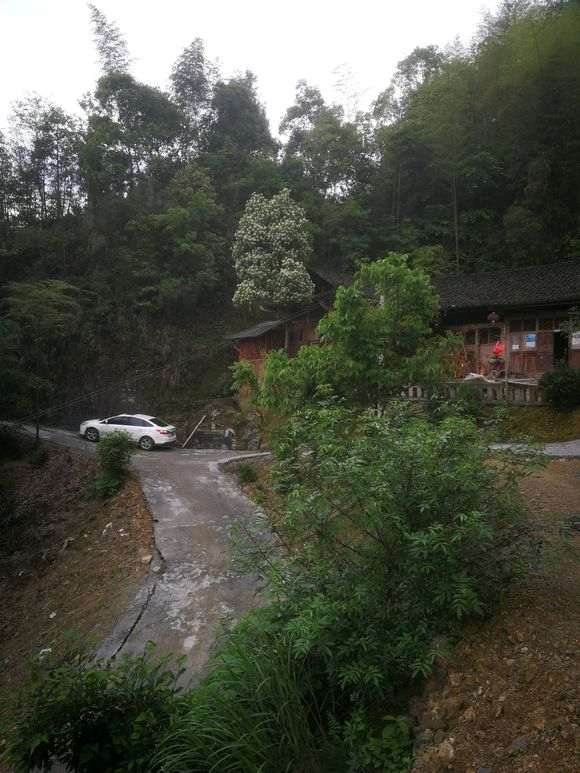 超级地景大火棘下山桩 怎么样 图片