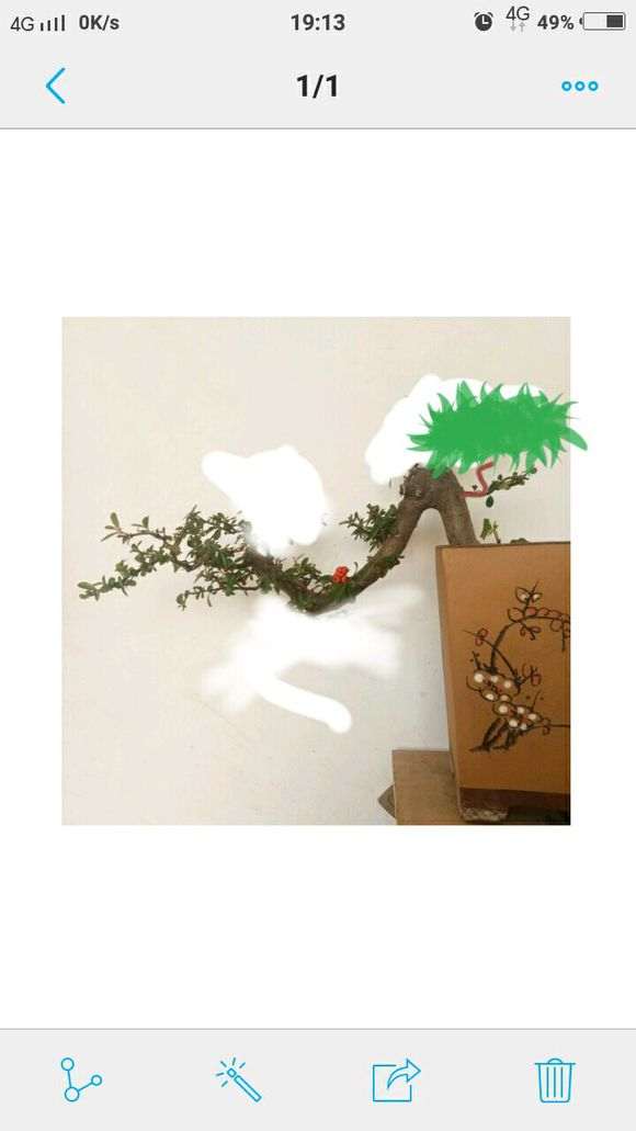 第一次玩火棘下山桩 请老师指点 图片